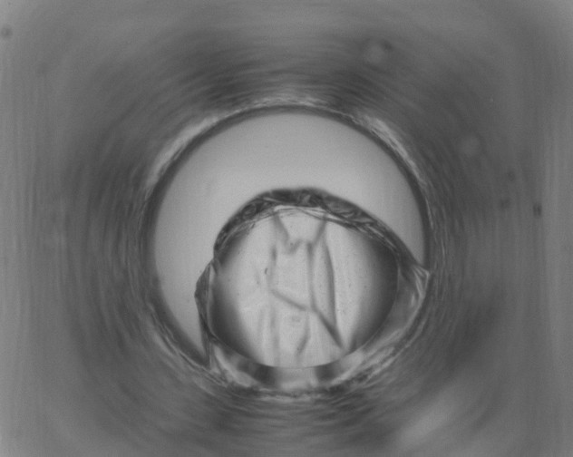 X0000066100531200603312027