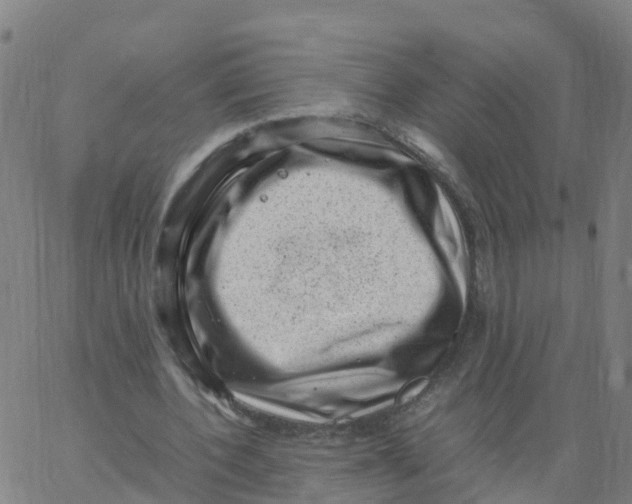 X0000066100532200603312027