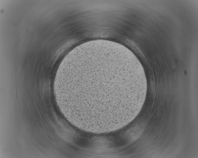 X0000066100534200603312027