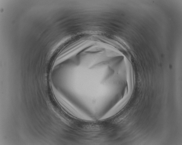 X0000066100535200603312027