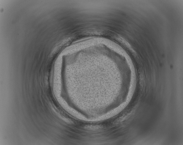 X0000066100537200603312027