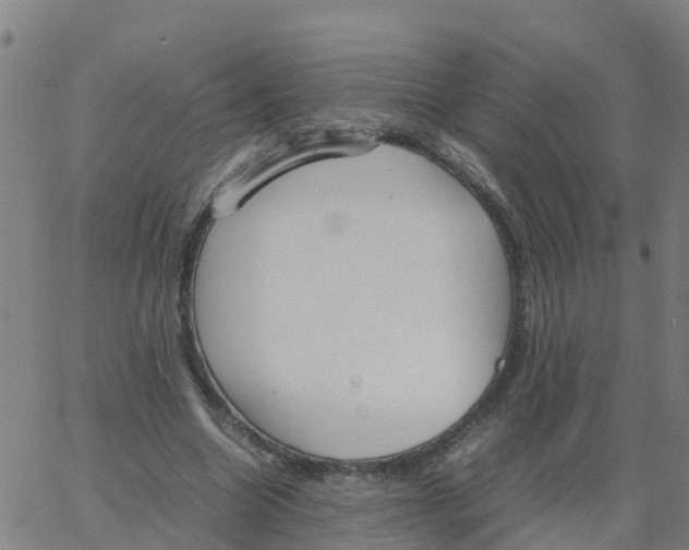 X0000066100538200603312027