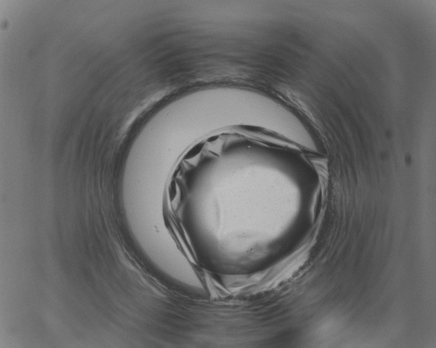 X0000066100539200603312027