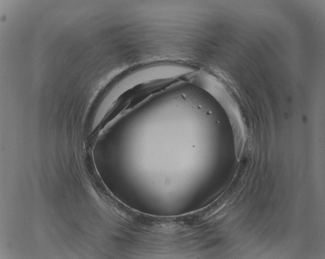 X0000066100540200603312027