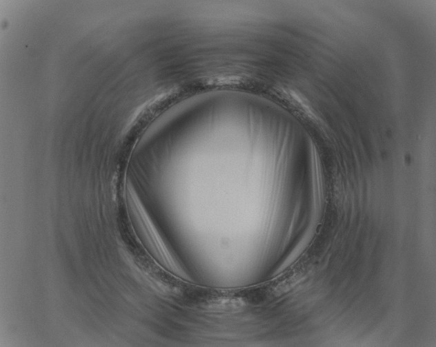 X0000066100543200603312028