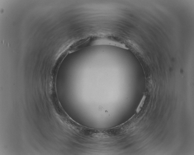 X0000066100544200603312028