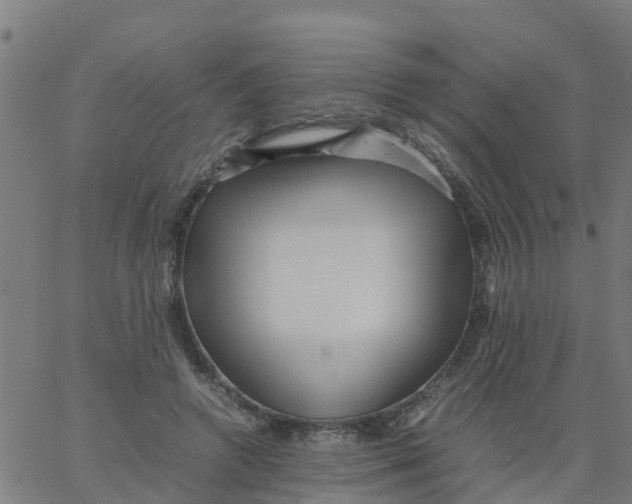 X0000066100546200603312028