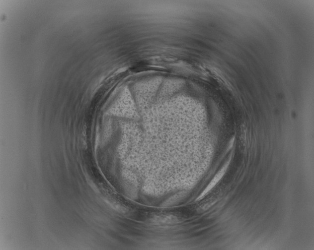 X0000066100547200603312028