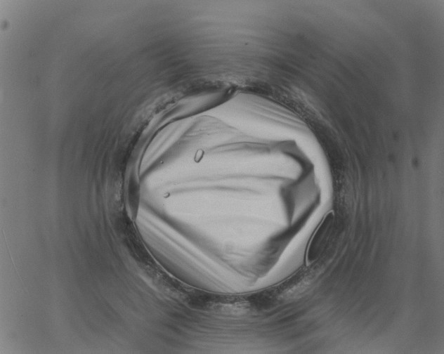 X0000066100548200603312028