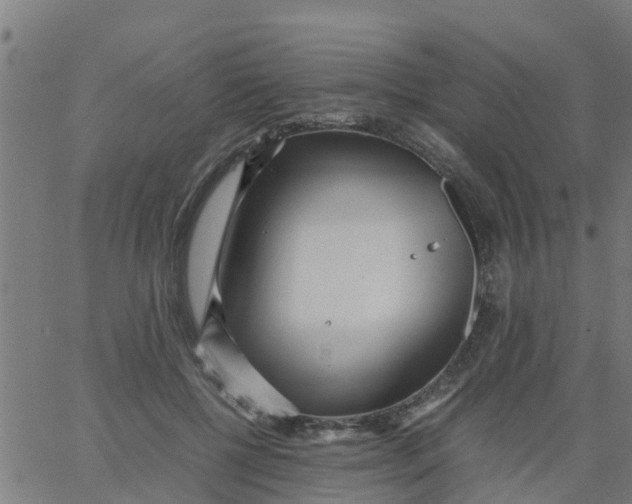 X0000066100552200603312028