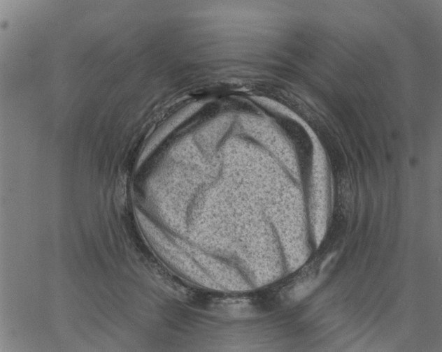 X0000066100554200603312028