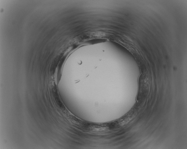 X0000066100555200603312028