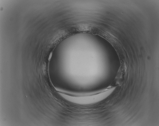 X0000066100556200603312028