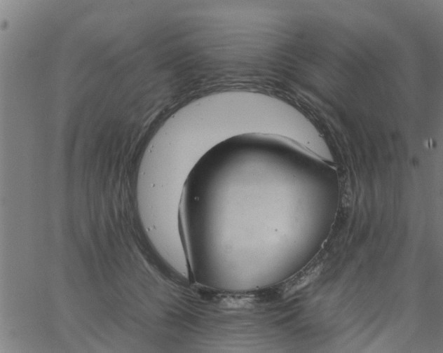 X0000066100560200603312028