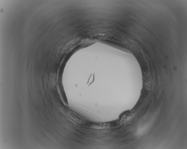 X0000066100563200603312028