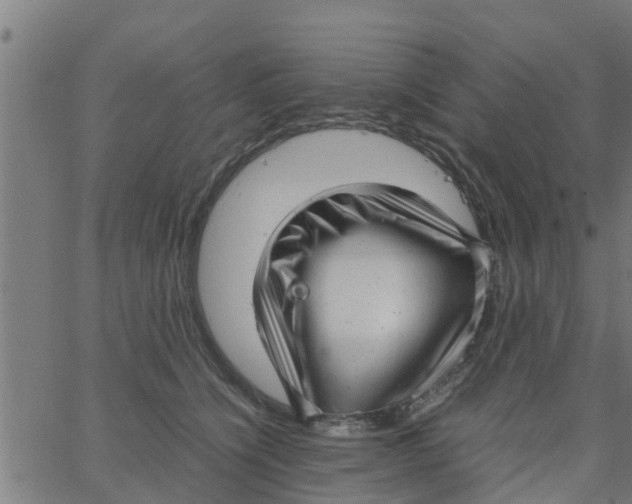 X0000066100564200603312028