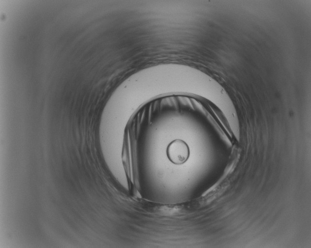 X0000066100570200603312028