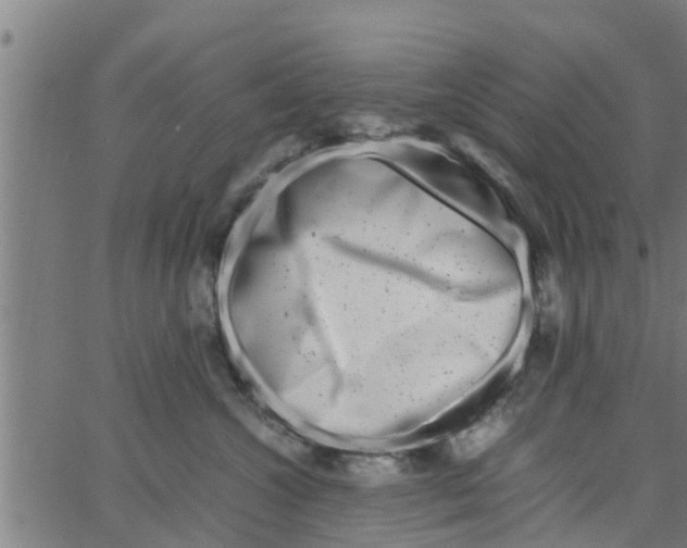 X0000066100572200603312028