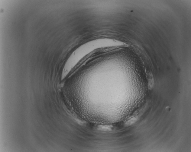 X0000066100573200603312028