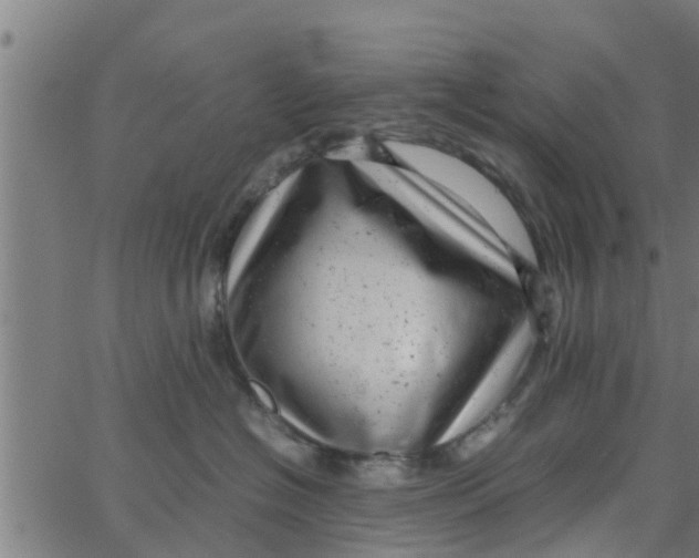 X0000066100574200603312028