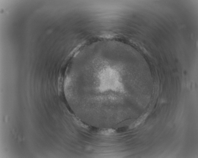 X0000066100576200603312028