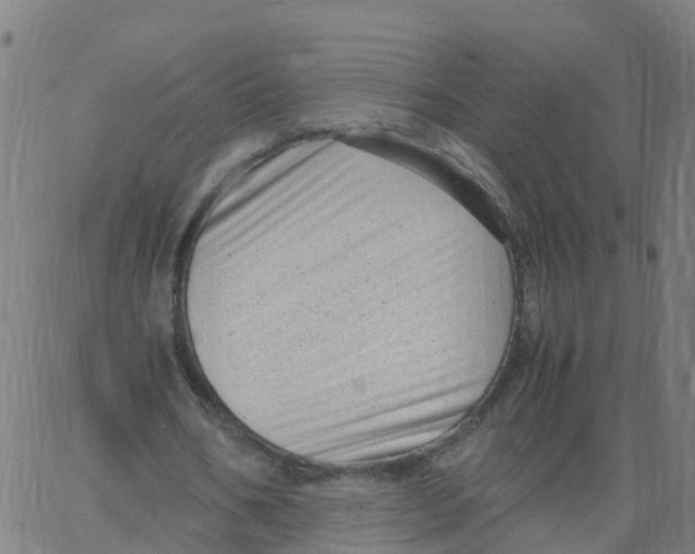 X0000066100578200603312027