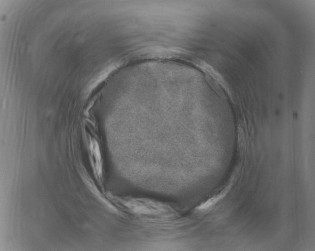 X0000066100581200603312027