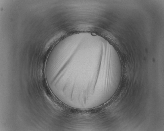 X0000066100586200603312027