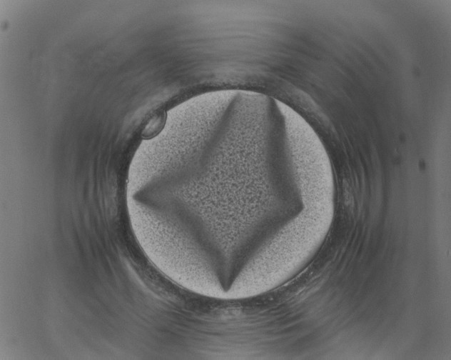 X0000066100588200603312027