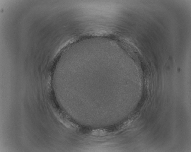 X0000066100591200603312027