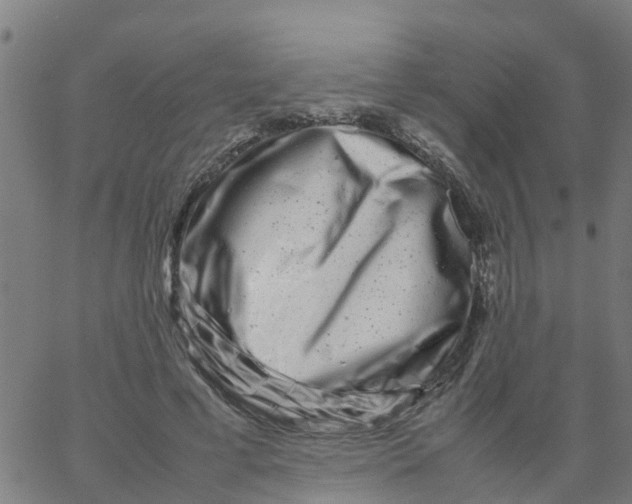 X0000066100593200603312027