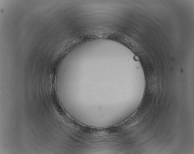 X0000066100594200603312027