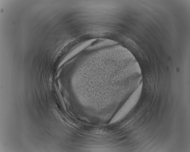 X0000066100596200603312027