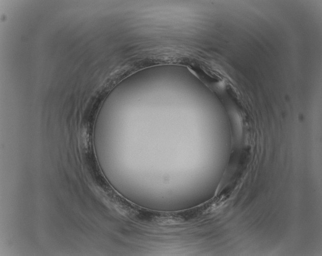 X0000066100597200603312027