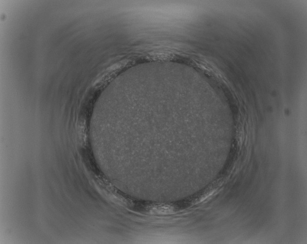 X0000066100599200603312027