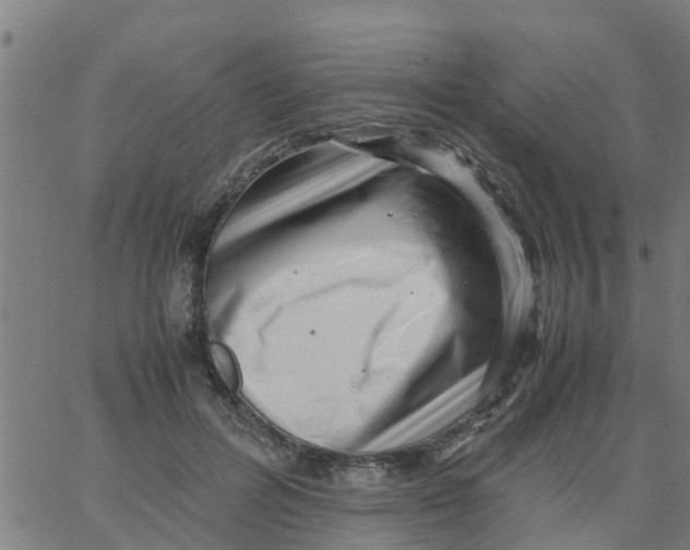 X0000066100600200603312027