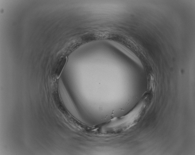 X0000066100601200603312027