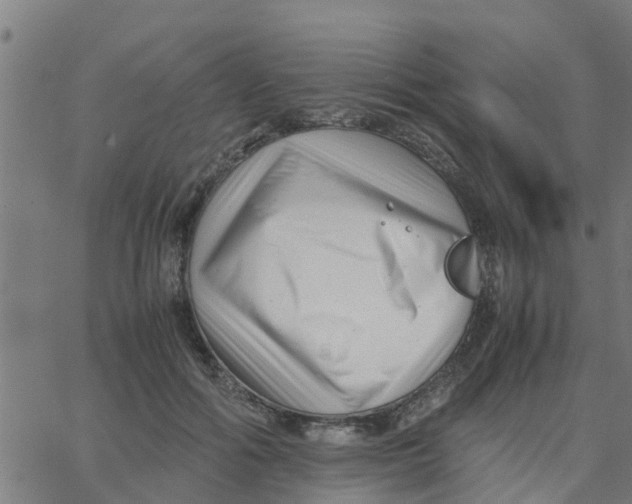 X0000066100602200603312027