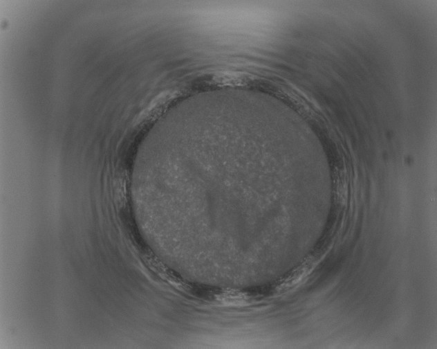 X0000066100603200603312027