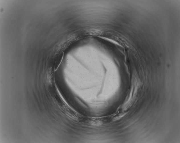 X0000066100604200603312027