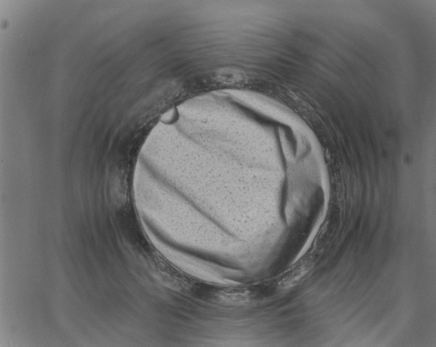 X0000066100606200603312027