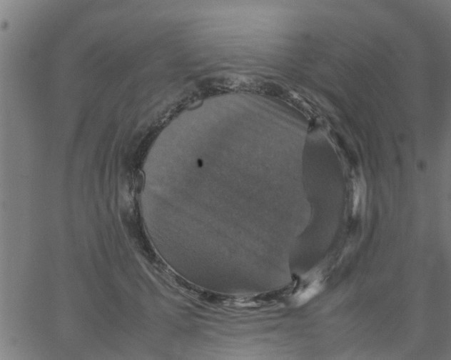 X0000066100607200603312027