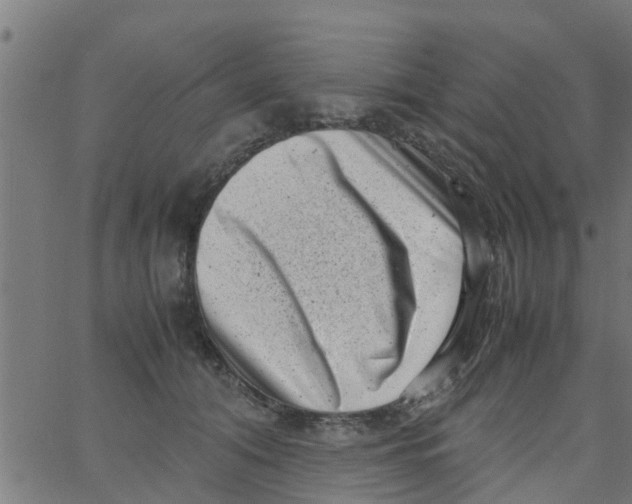 X0000066100608200603312027