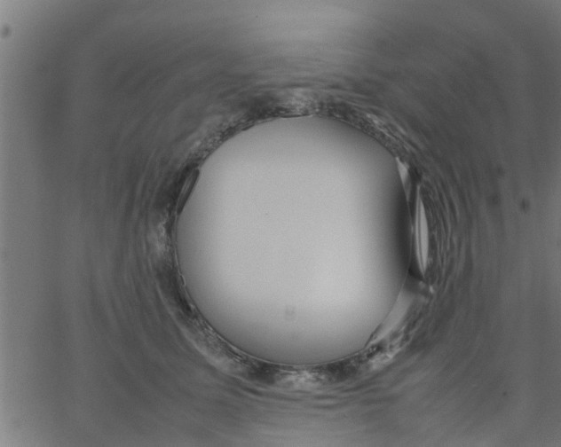 X0000066100611200603312027