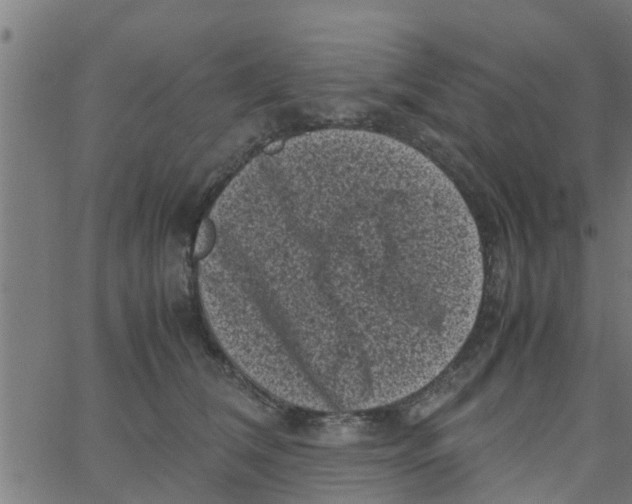 X0000066100612200603312027