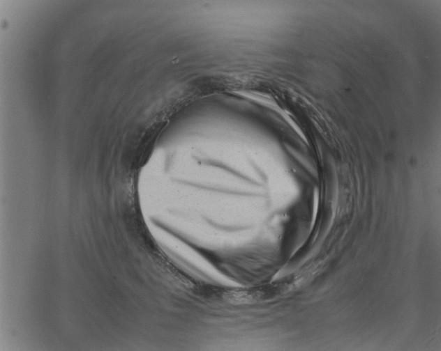 X0000066100613200603312027