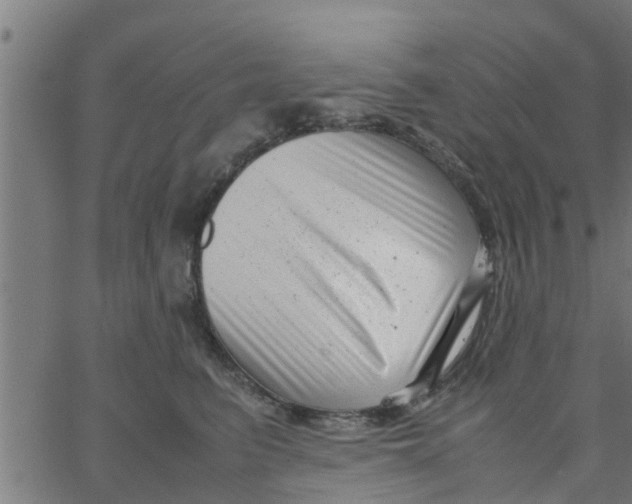 X0000066100615200603312027