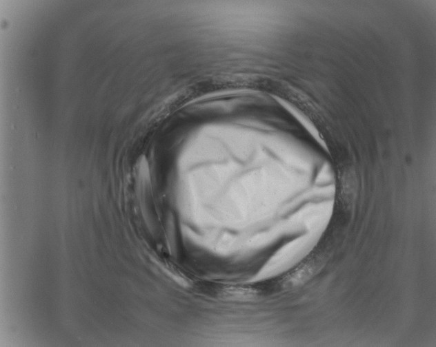 X0000066100617200603312027