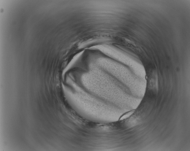 X0000066100620200603312027