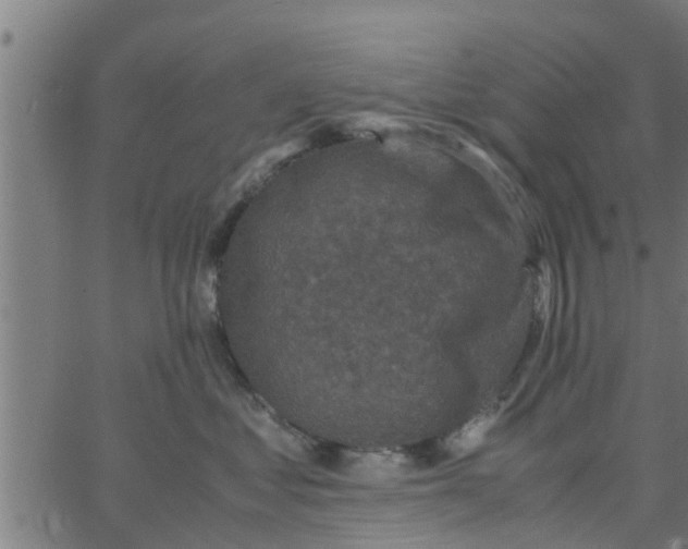 X0000066100621200603312027